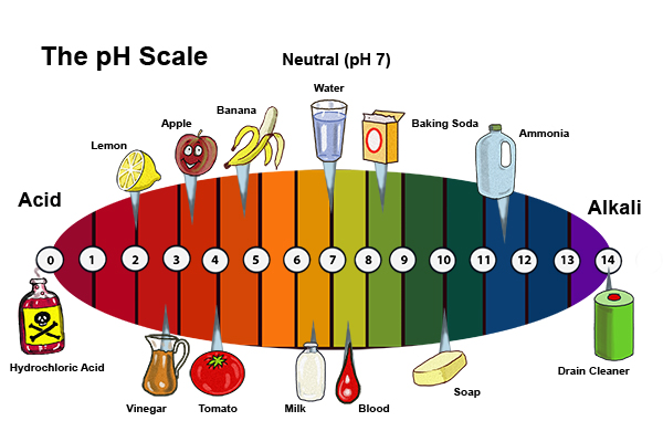 Водородный показатель pH.