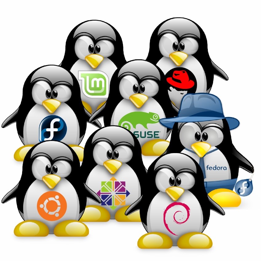 Семейство операционных систем Linux.